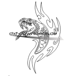 gefährliche Schlange - dangerous snake