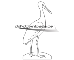 Storch - stork