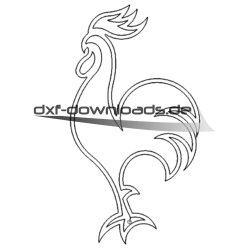 Stolzer Hahn - proud Rooster