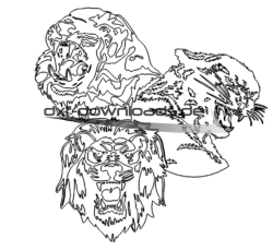 Tiger Panther Löwe