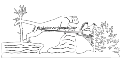 Puma jagd - Puma attack