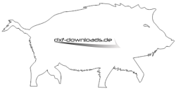 Wildschwein - Boar