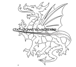 Drache  - Dragon