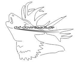 Hirschkopf - Deer head