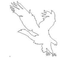 Adler - Eagle