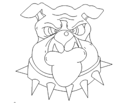 Bulldoge Kopf - Bulldog Head