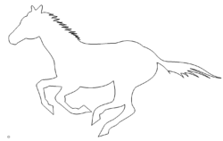Rennender Gaul - race horse