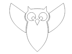 Eule - Owl