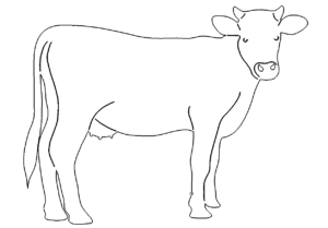 Kuh Bild - Cow