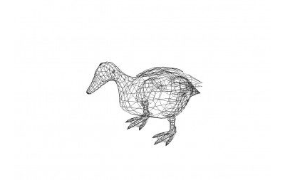 Ente 3D Zeichnungen - Duck 3D drawings