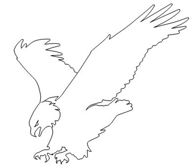 Geier - vulture