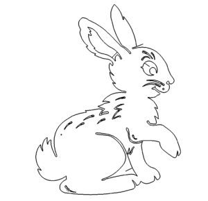 Hase - Rabbit
