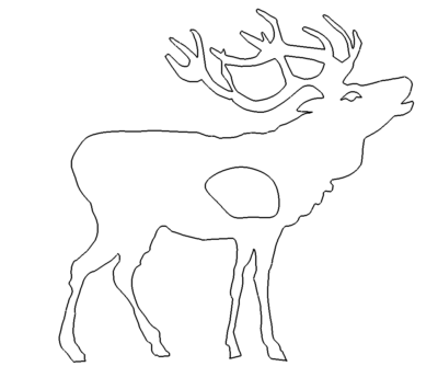 Hirsch - deer