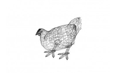 Huhn 3D Zeichnung - Chicken 3D drawing