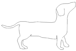 Hund Dackel - dog dachshund