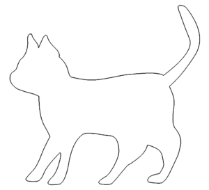 Katze - Cat