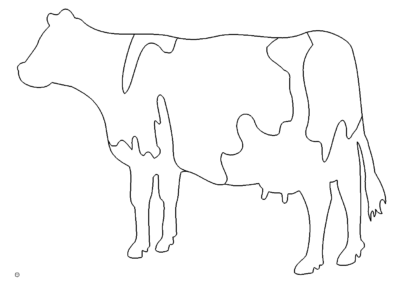 Kuh - Cow