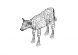 Kuh 3D Zeichnung - Cow 3D drawing