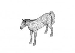 Pferd 3D Zeichnungen - Horse 3D drawings