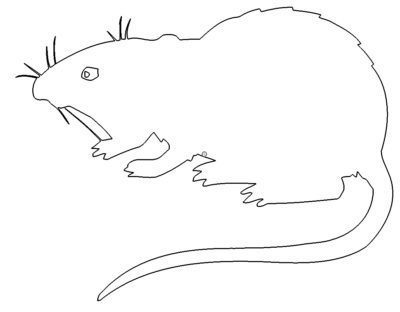 Ratte - Rat