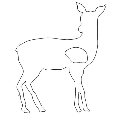 Reh - deer
