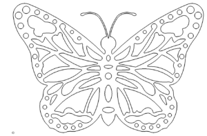 Schmetterling - butterfly
