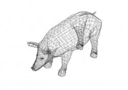 Schwein 3D Zeichnung - Pig 3D drawing