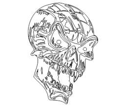 Totenkopf - Skull