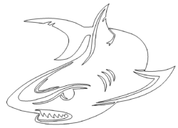 Angriffslustiger Hai - Funny shark attack