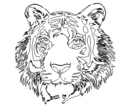 Tigerkopf - Tigerhead