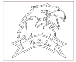 USA Adlerkopf - USA Eagle Head