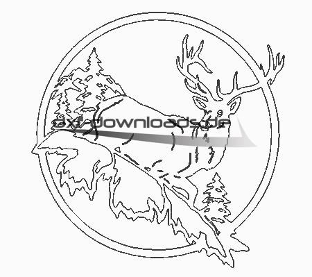Hirsch - Deer
