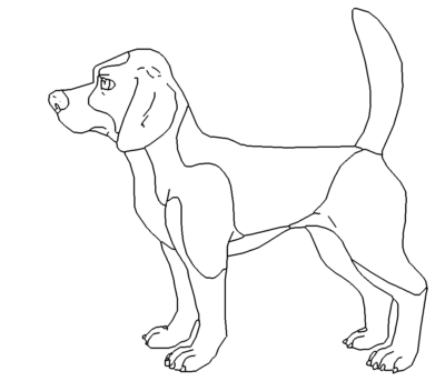 Jagdhund Beagle - Hound Beagle