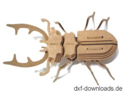 Blatthornkaefer 3D Modell - Scarab Beetle 3D model