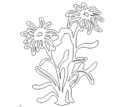 Blumen - Flower