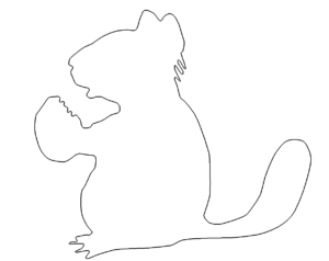 Eichhörnchen - Chipmunk