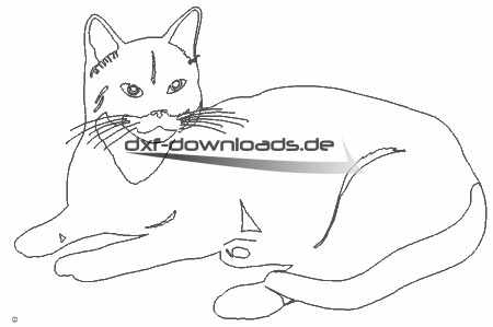 Katze liegt - cat lying