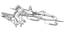 Falke gegen Flugzeug