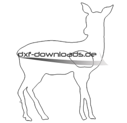 Reh - deer