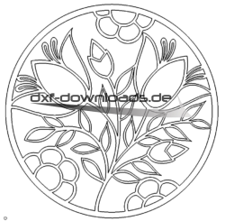 Blumen Bild - Flower Picture