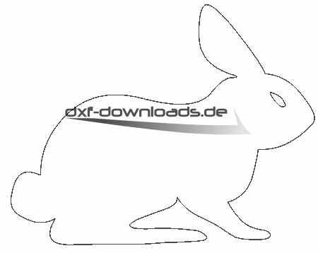 Hase -  Rabbit