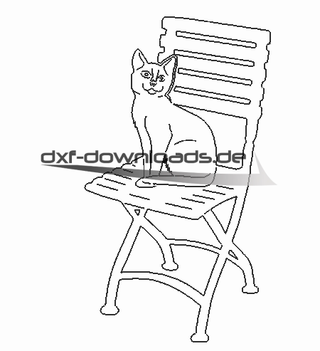 Katze sitzt auf Stuhl - Cat sitting on chair