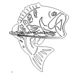 Fisch Koi - Koi fish