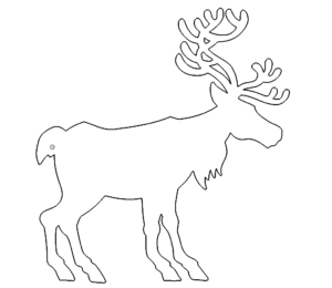 Elch - moose