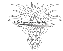 Drachengesicht - dragons face