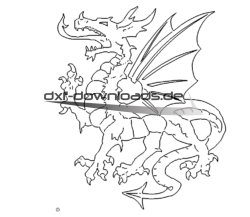 Drache  - Dragon