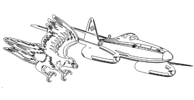 Falke gegen Flugzeug