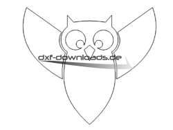 Eule - Owl