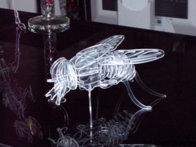 Fliege 3D Modell