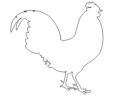 Hahn - Cock